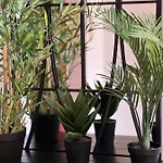 Kongenstofte House 別荘 ナクスコウ