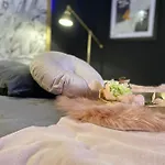 Kongenstofte House 別荘 ナクスコウ